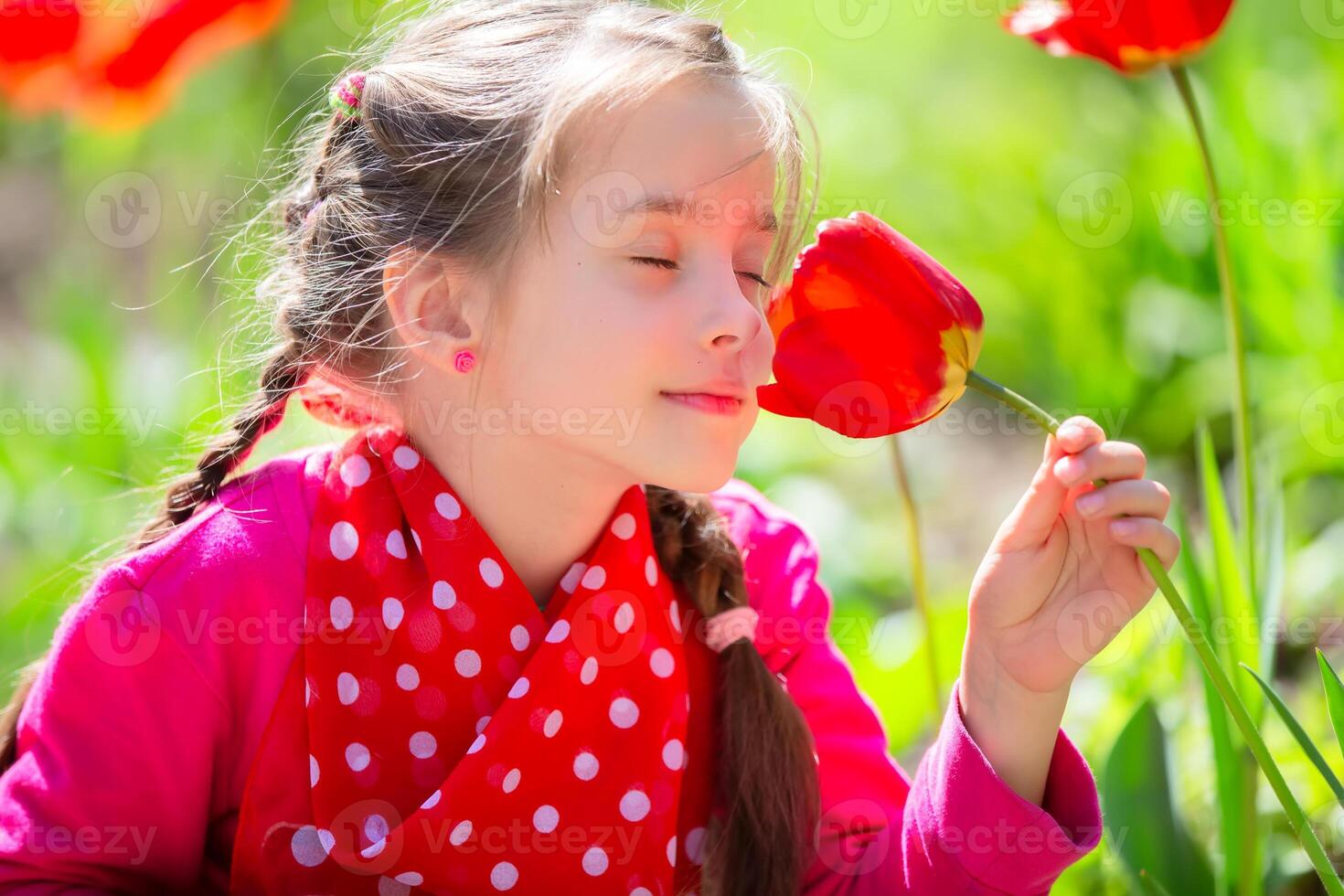 A little girl sniffs a red tulip flower and enjoys the spring and the smell. photo