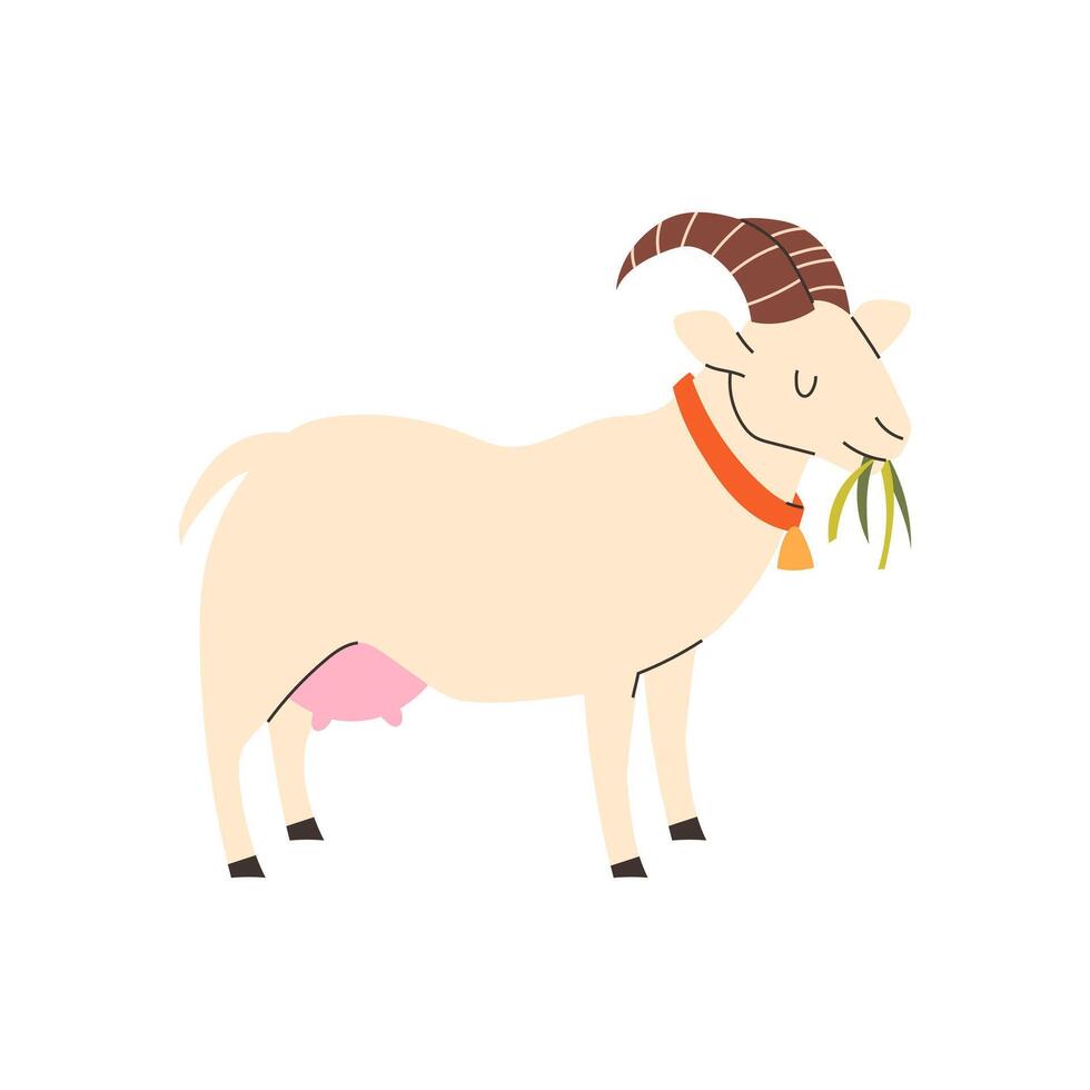 Cute goat eating grass on white background vector