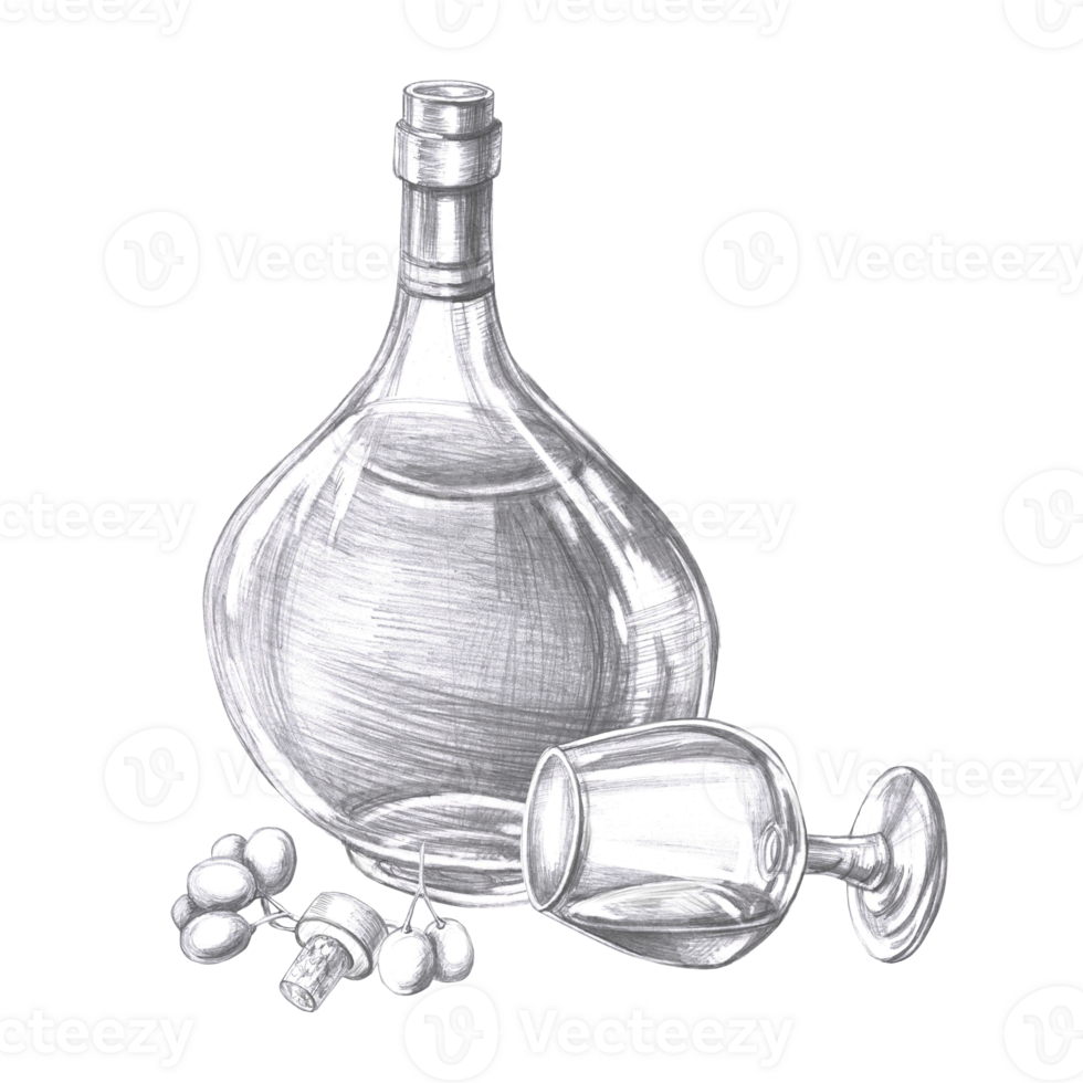 Bottle of cognac and fallen glass with in pencil. Isolated illustration on the theme of alcoholic drinks for menu design, cookbook, gastronomic magazines and festivals. png
