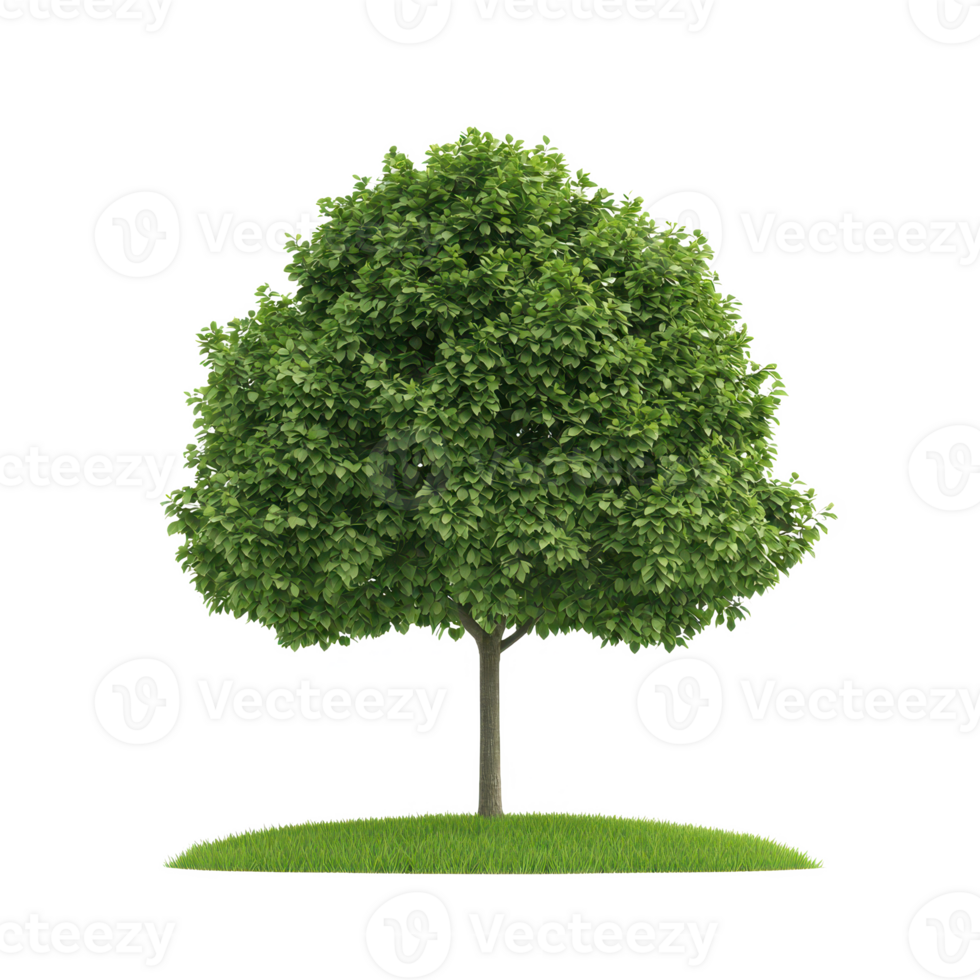 A lush green tree standing proudly on a grassy patch, symbolizing life and nature. png