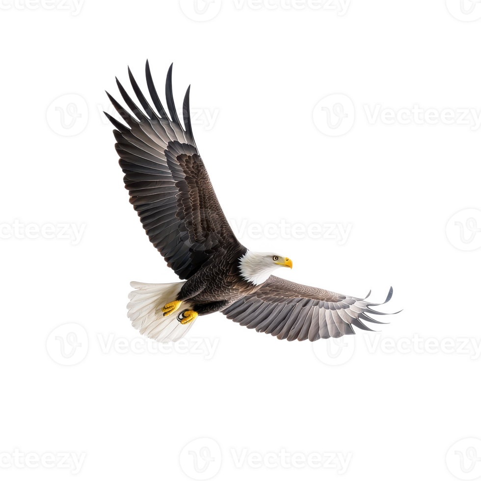 A majestic bald eagle soaring gracefully in the clear blue sky. png