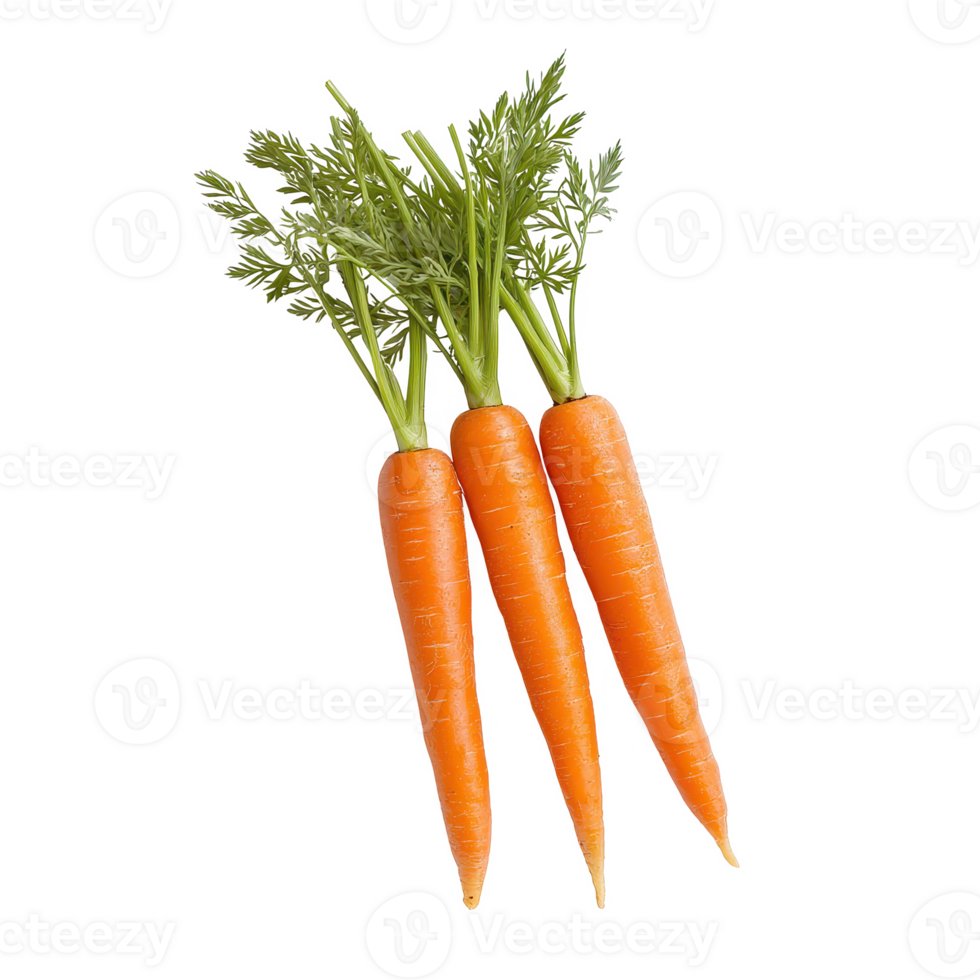 Fresh and vibrant carrots with green tops, perfect for healthy meals and snacks. png