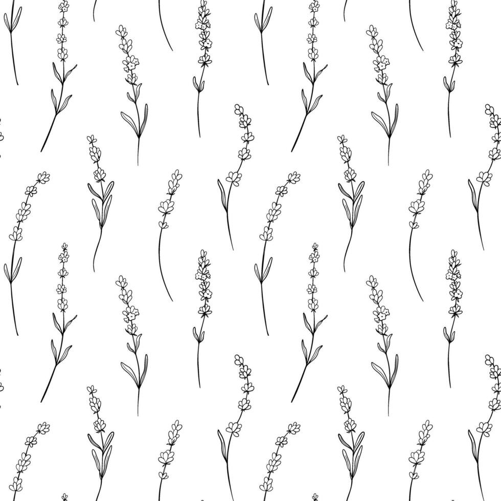 Seamless pattern of Lavender flower. Floral background with lavendula branches. Hand drawn salvia illustration in monochrome. Outline print for fabric, textile, wallpaper, packaging. vector