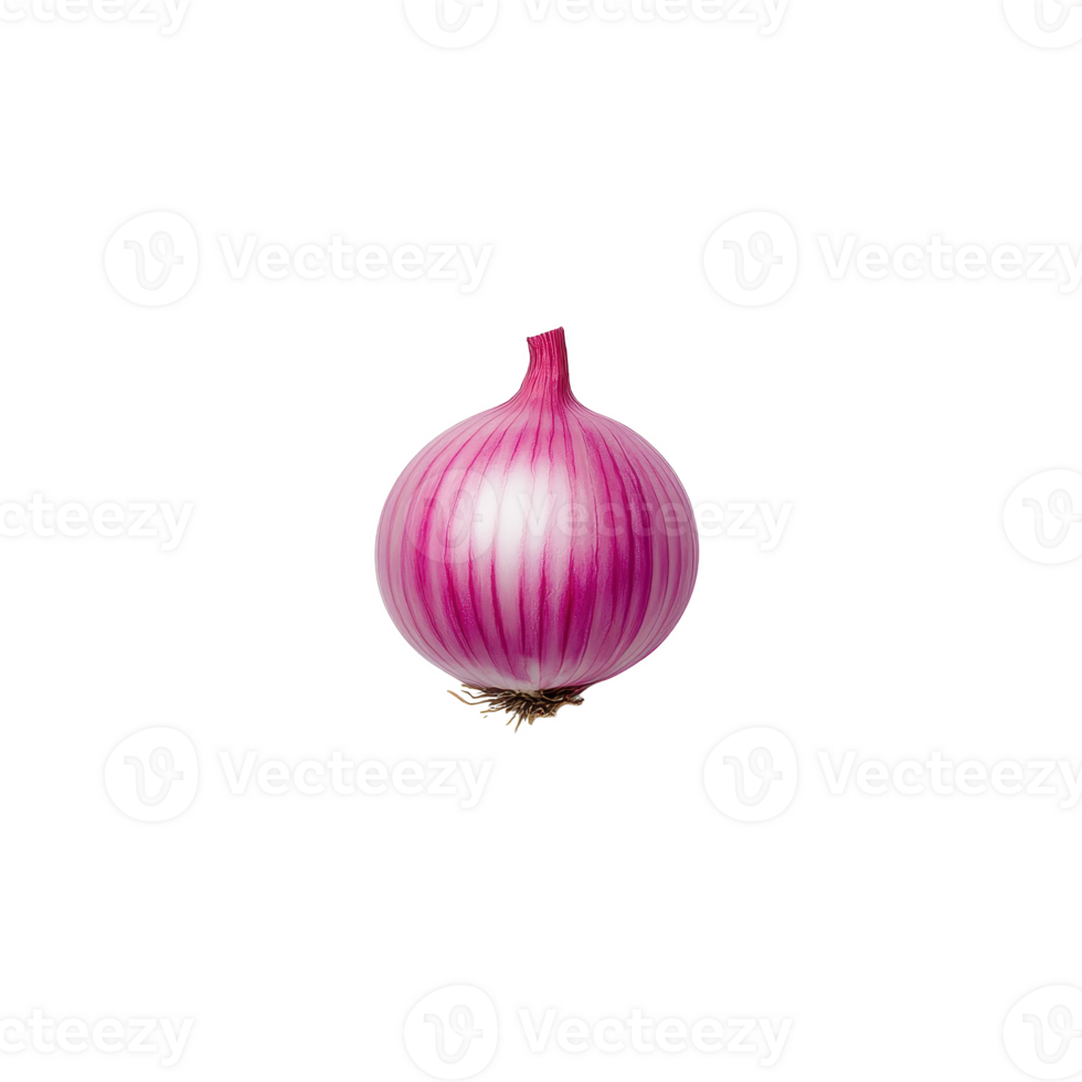 Fresh red onion with distinct purple and white layers on a reflective surface. png