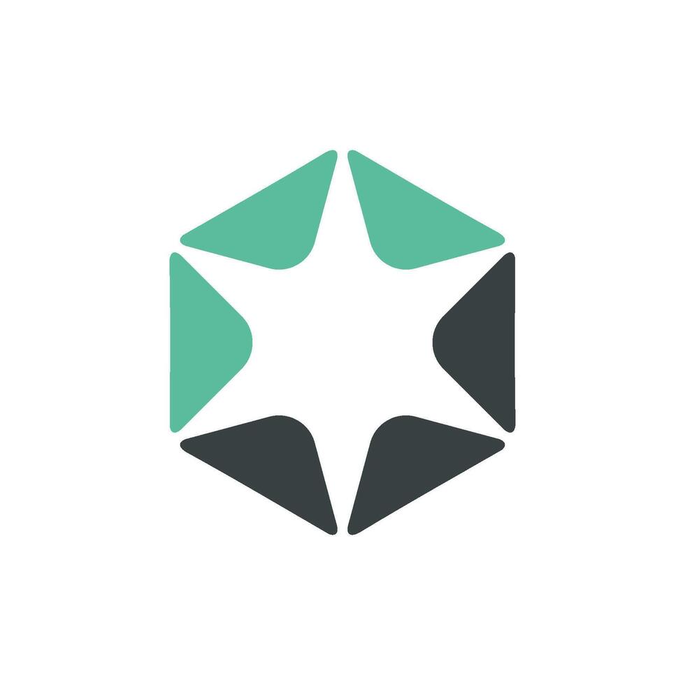 Abstract Decorative Star in Hexagon Shape Logo Template Illustration Design. EPS 10. vector