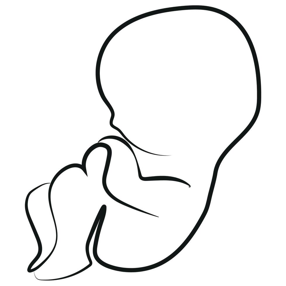 simple logo of a newborn baby without an article for drawn with different contours for clinics, printing and banners vector