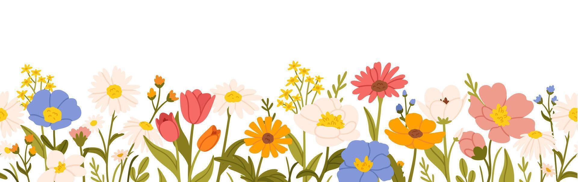 Flower border. Seamless cartoon floral spring flowers. Garden blooming, stem, leaves, plants. Wildflower meadow blossoms. Springtime floral frame. Botanic background vector