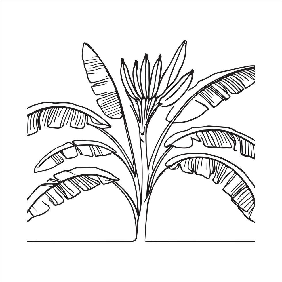 Single one line Banana branch with banana black silhouette white background vector