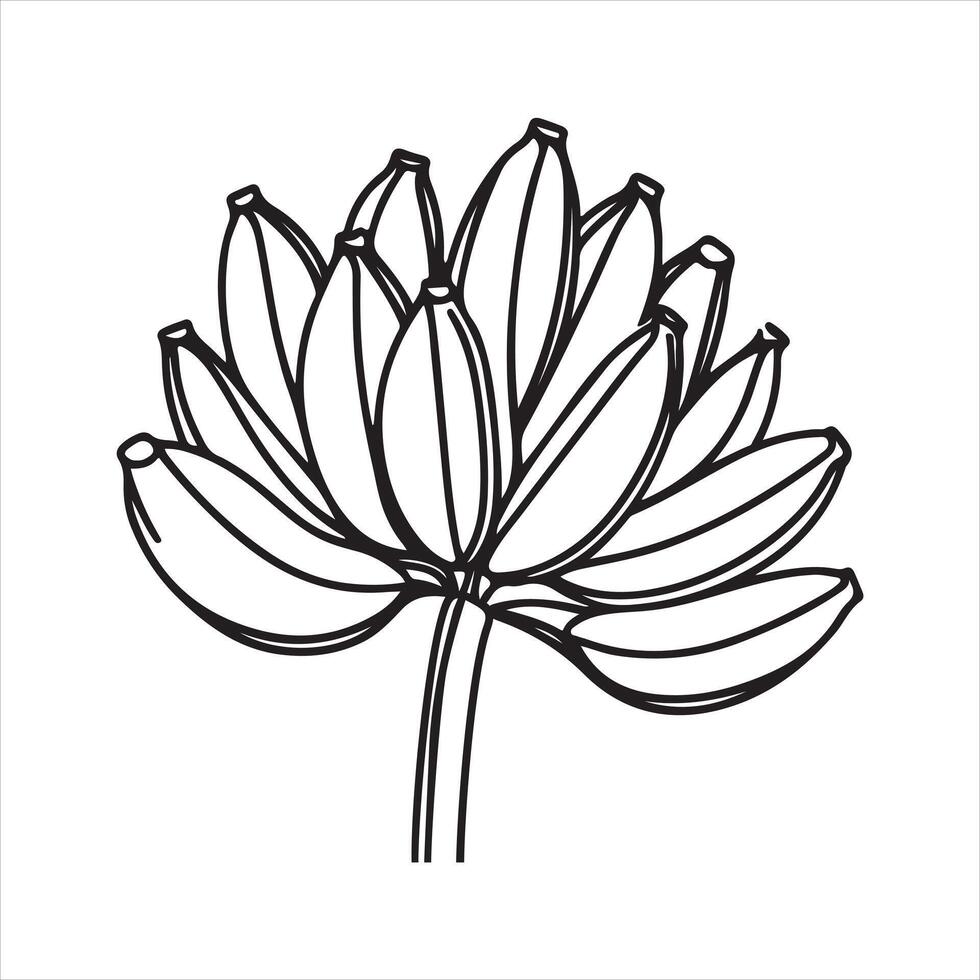 Single one line banana silhouette on white background vector