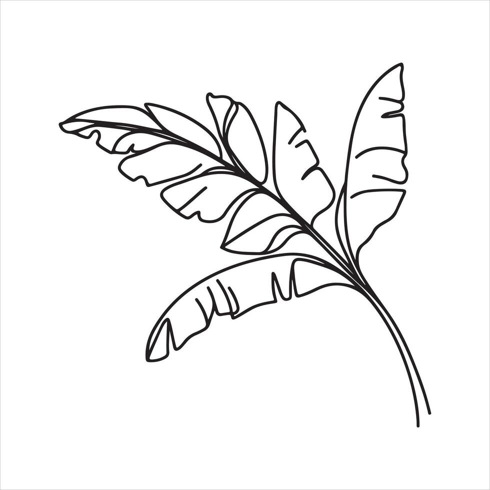 one line Banana branch with banana silhouette on white background vector