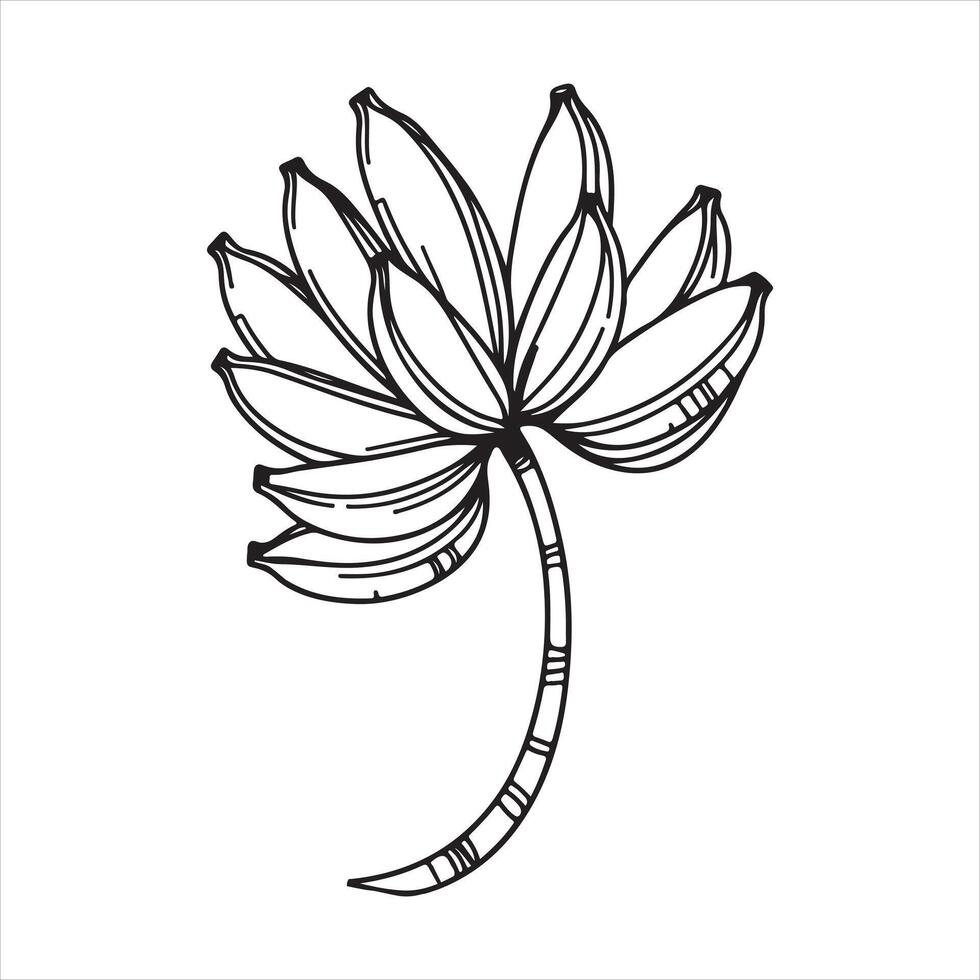 Single one line Banana branch with banana silhouette on white background vector