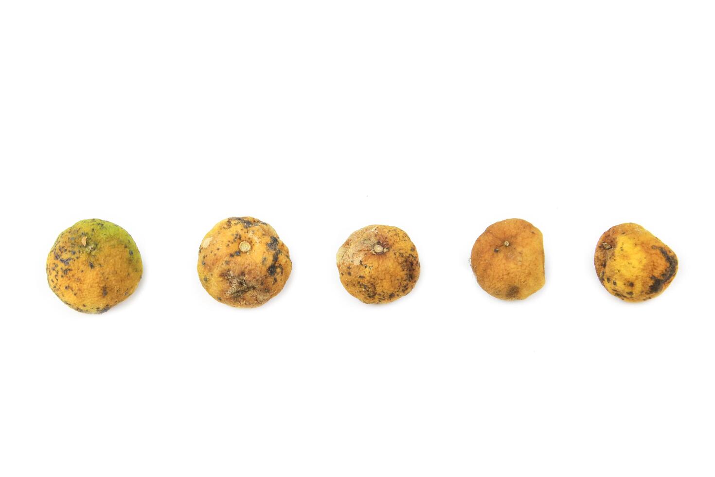Yellow lemon shows signs of decay with dark spots and shriveled skin, resulting from neglect and bacterial or fungal infection. photo