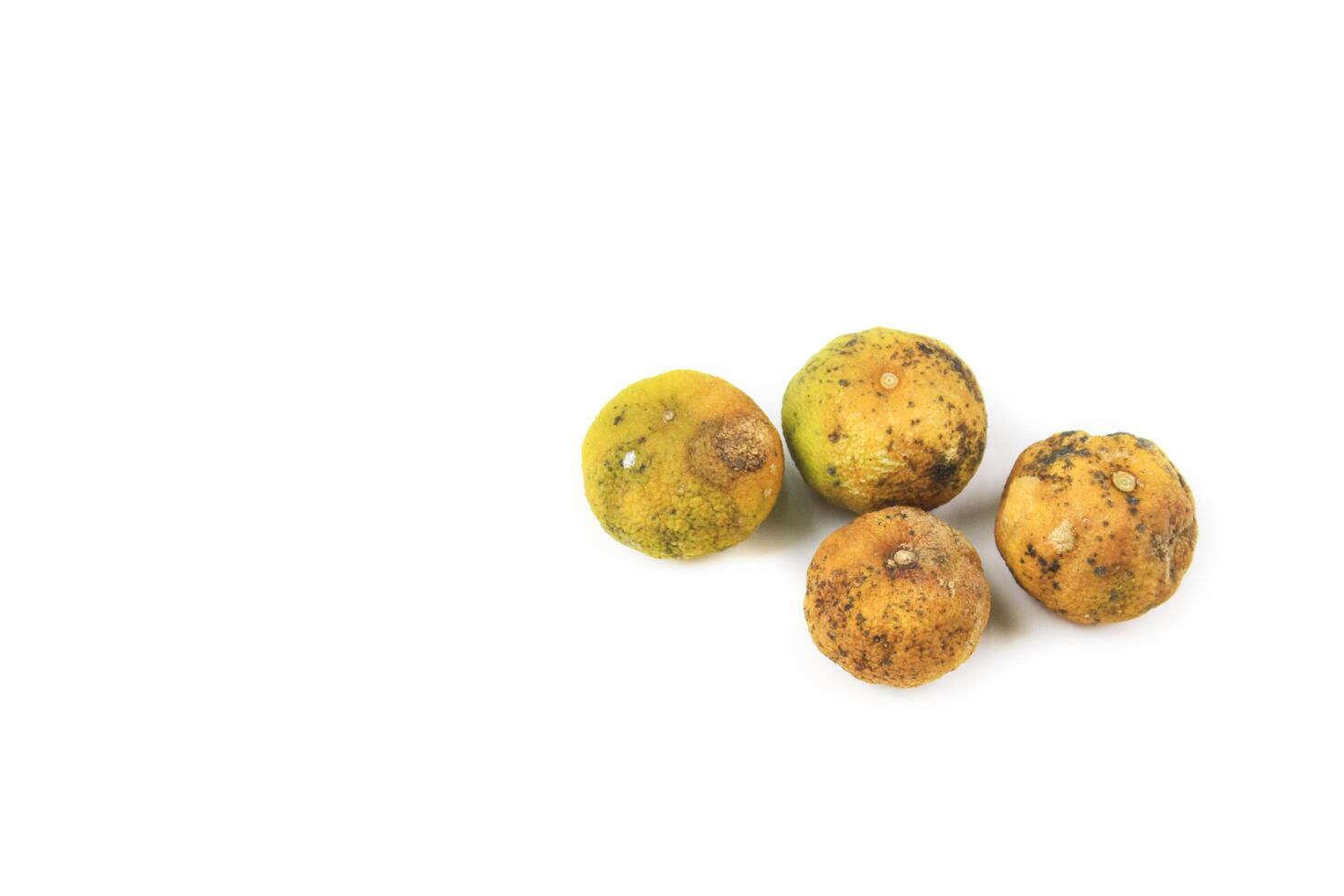 Yellow lemon shows signs of rotten, with dark spots and shriveled skin, resulting from neglect and bacterial or fungal infection. photo