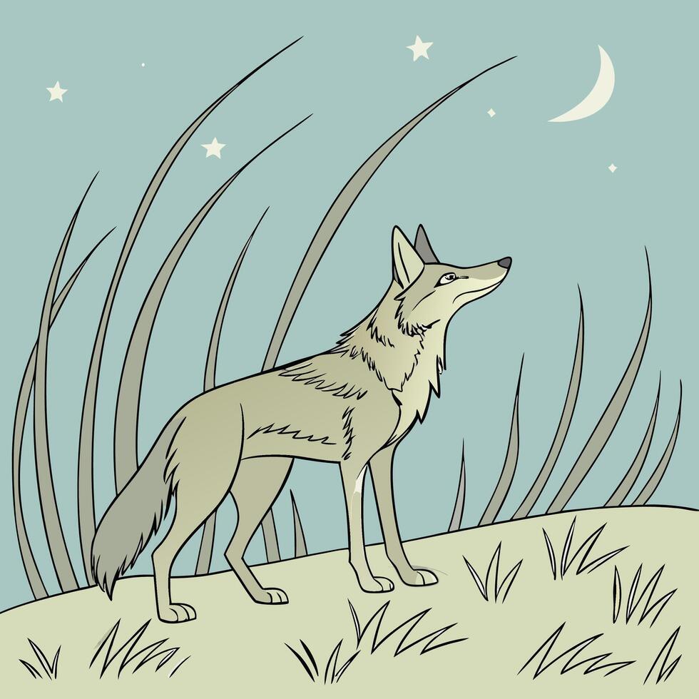 Illustration of coyote animal vector