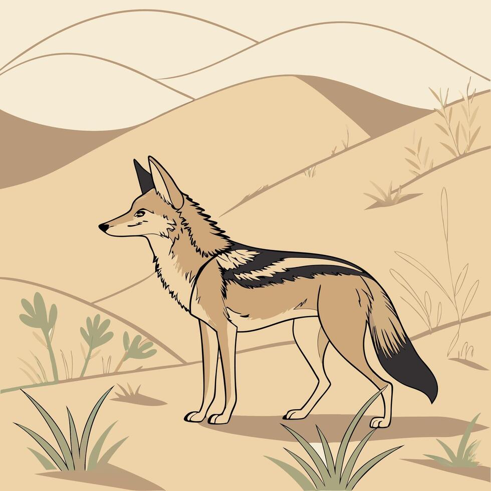Illustration of jackal animal vector