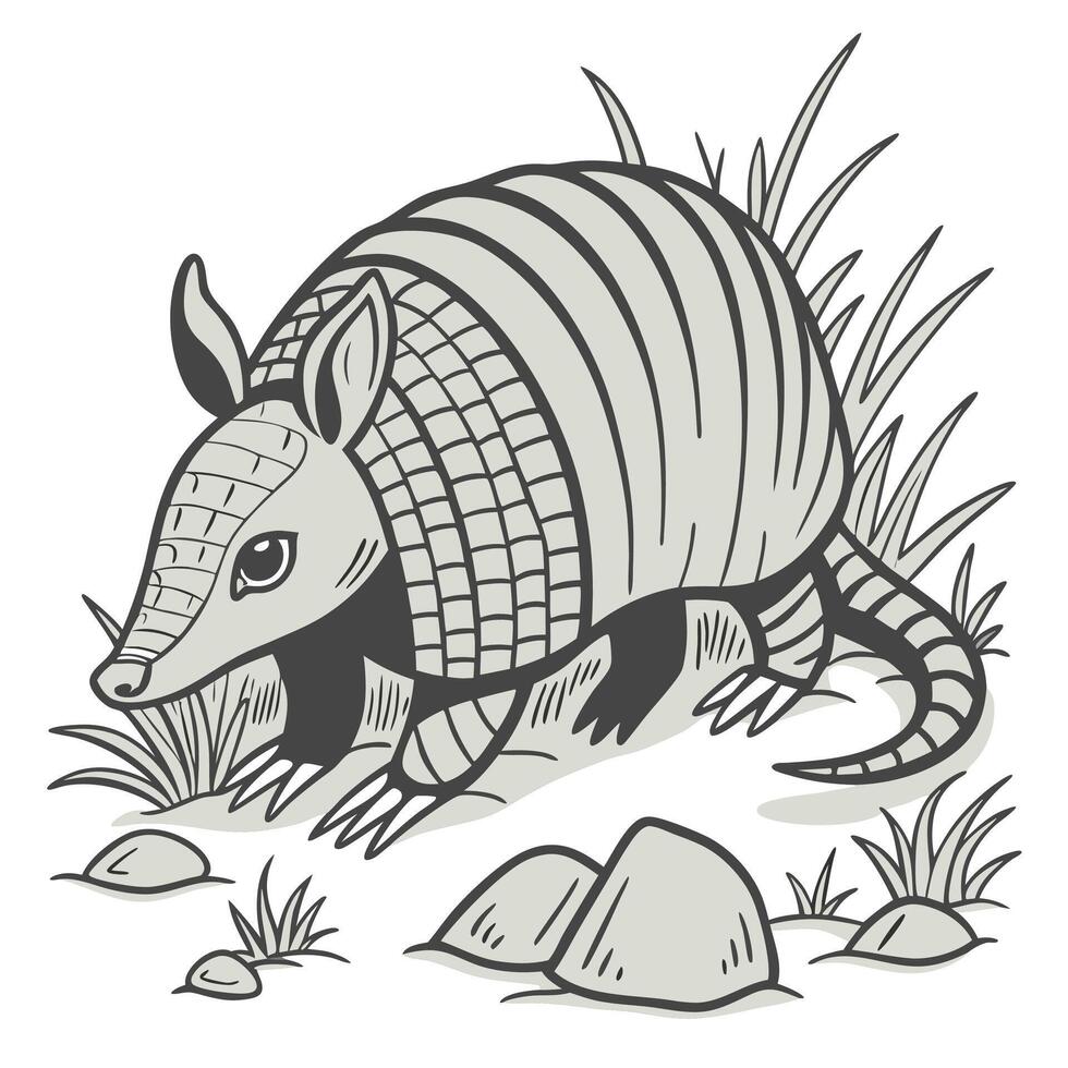 The illustration of armadillo animal vector