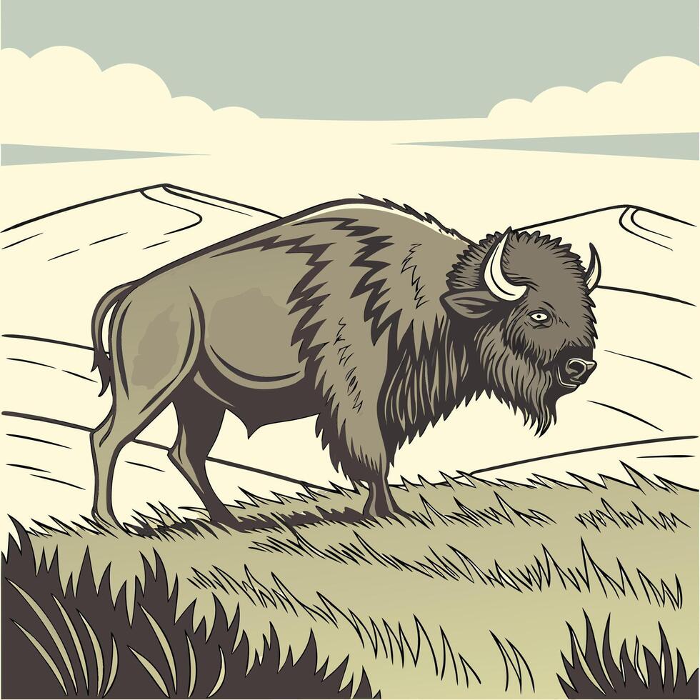 The illustration of bison animal vector