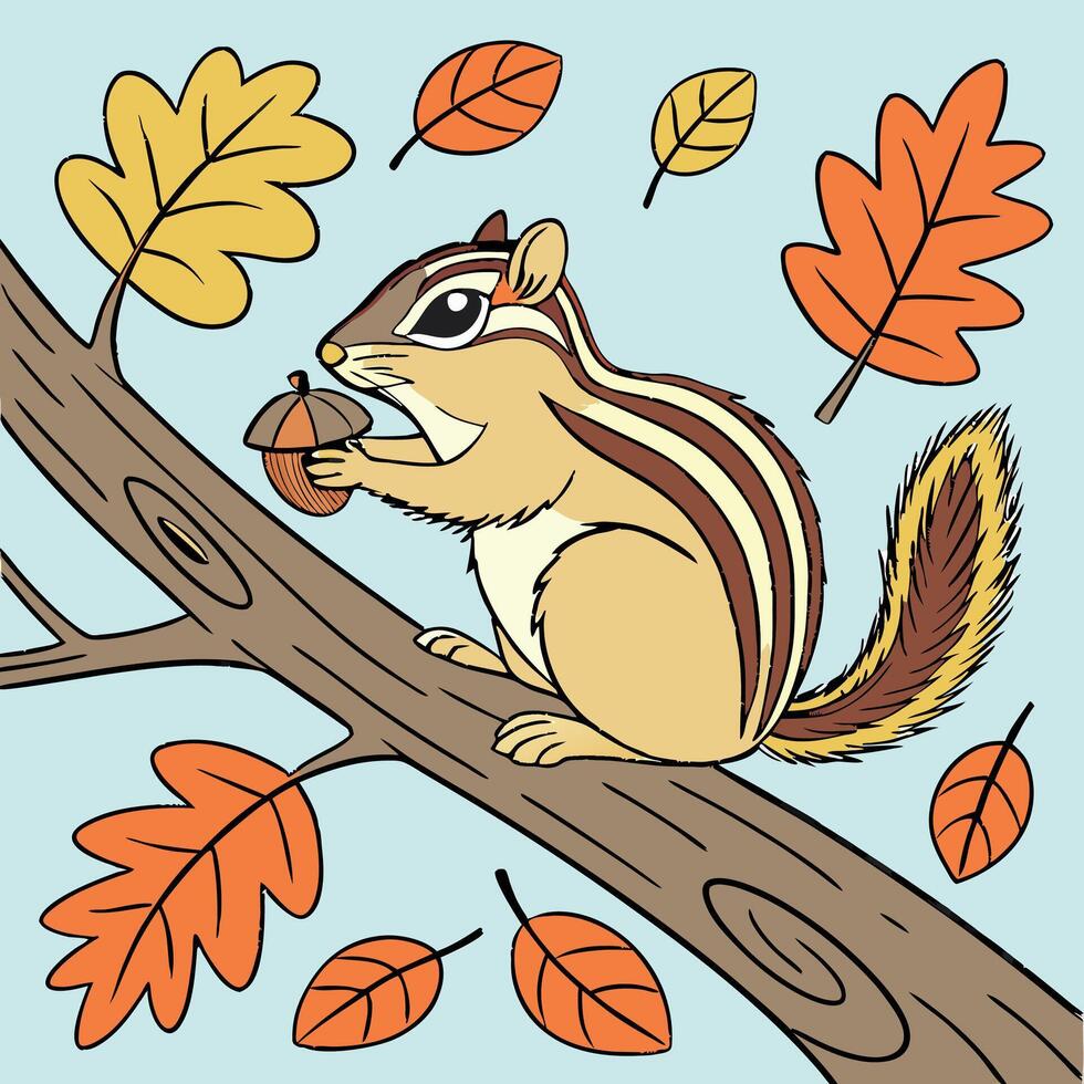 The illustration of chipmunk animal vector