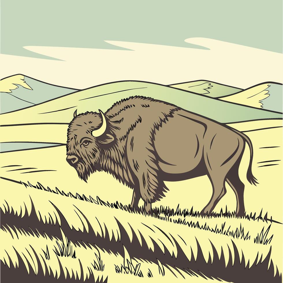 The illustration of buffalo animal vector