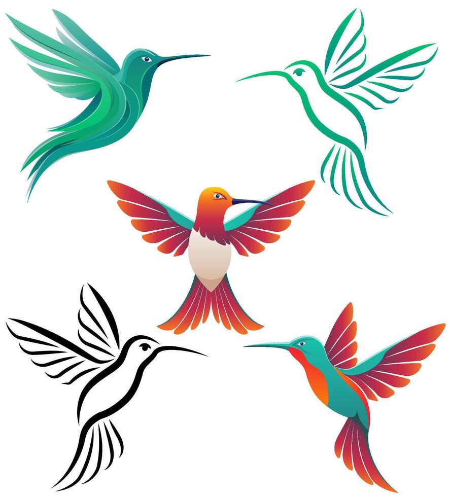 hummingbird beautiful little bird stylish logo for your business set illustration isolated on white background vector