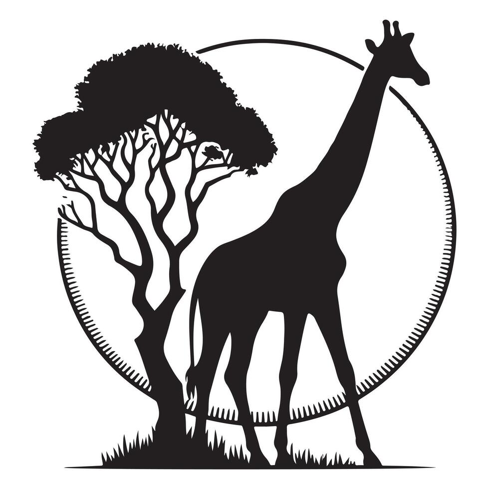 A giraffe is eating leaves from a tree vector