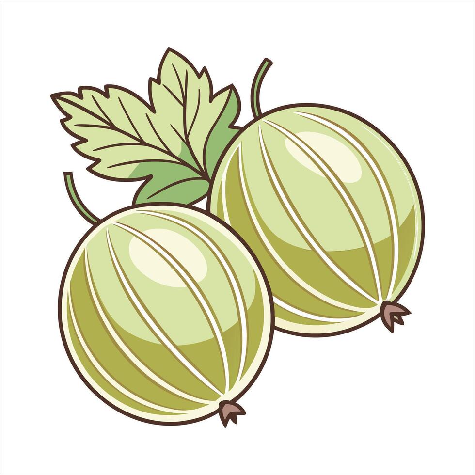 Gooseberry art illustration vector