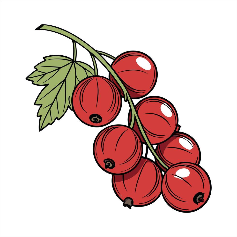 Currant fruit art illustration vector