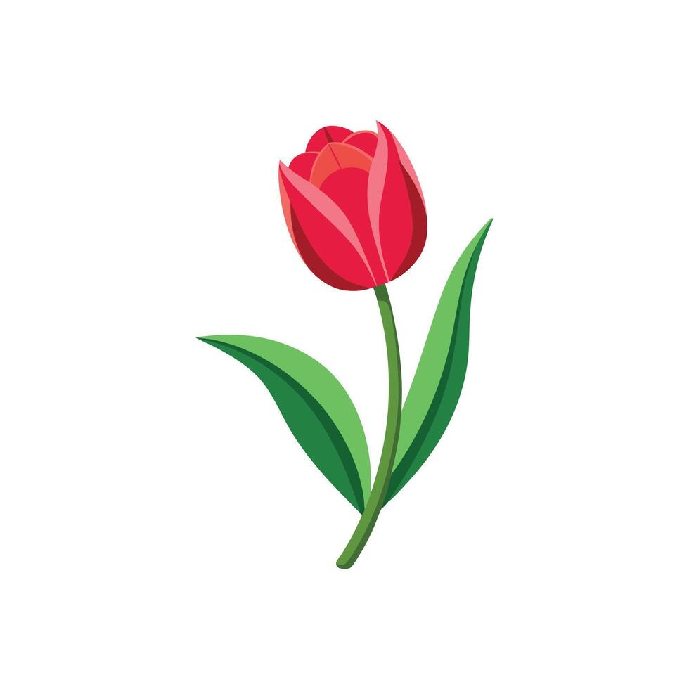 Vibrant Tulip Garden Illustration Design On White Background vector