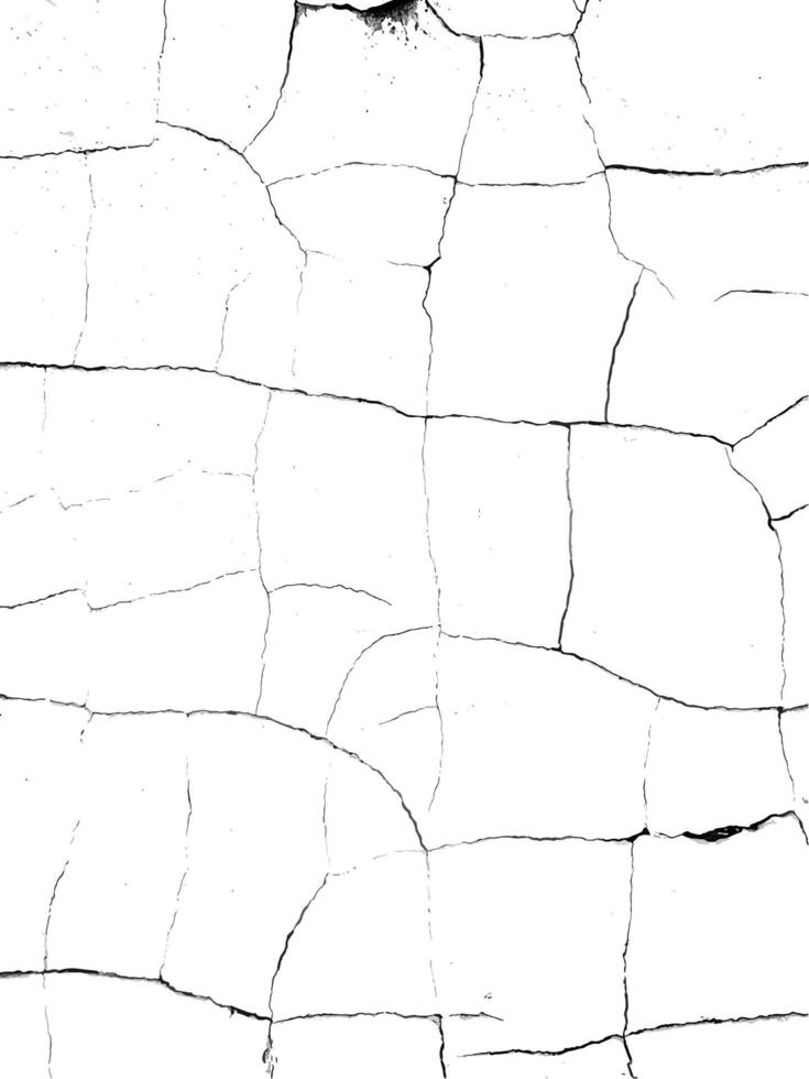 Grunge overlay for design projects. Dry old paint crack texture. Abstract black and white background vector