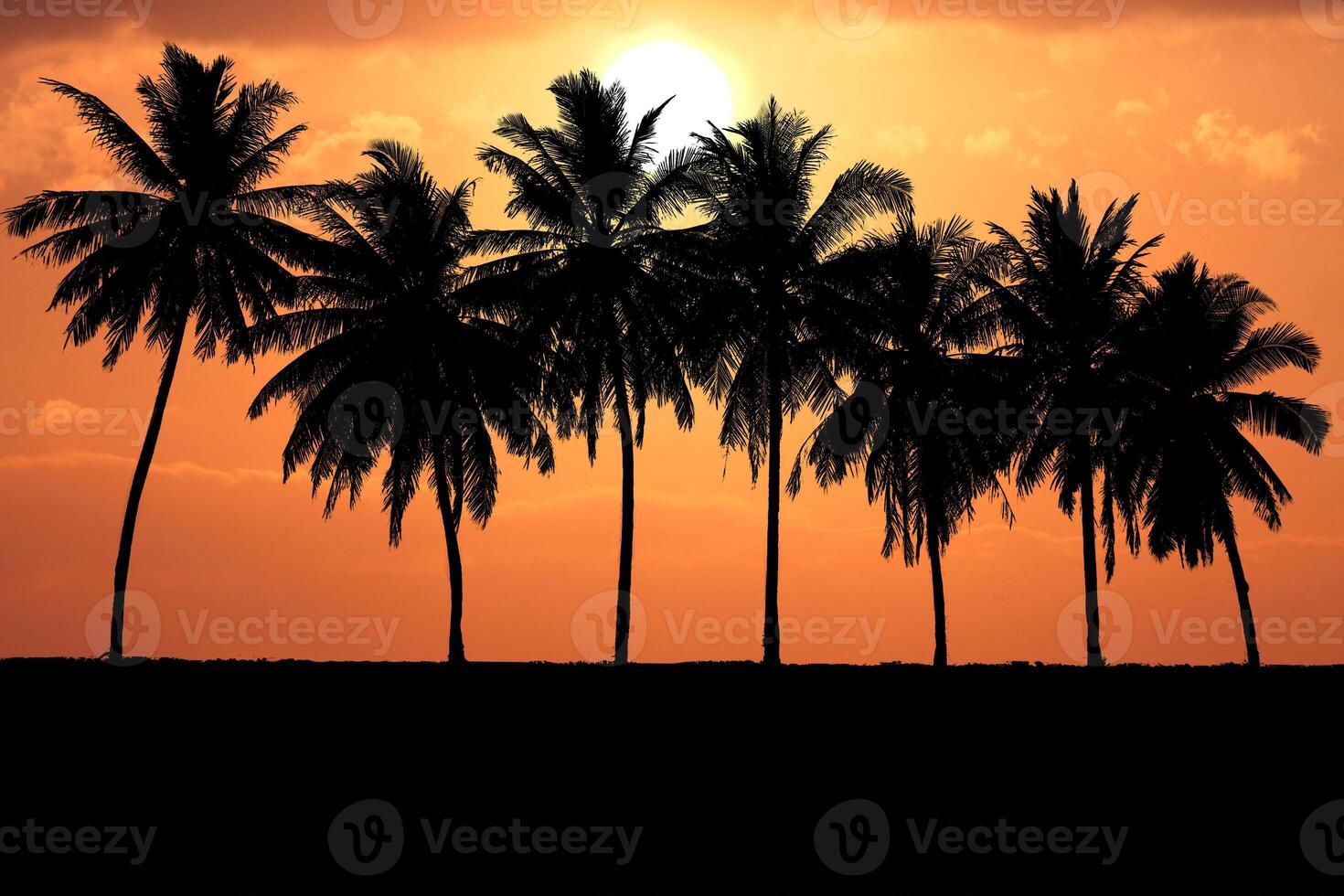 Stunning Silhouette of Palm Trees Against a Vibrant Orange Sunset Sky on a Tropical Beach photo