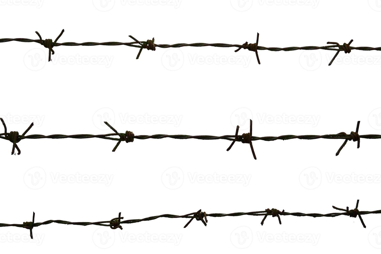Barbed Wire on White Background Isolated for Security and Protection Concepts in Stock Photography photo