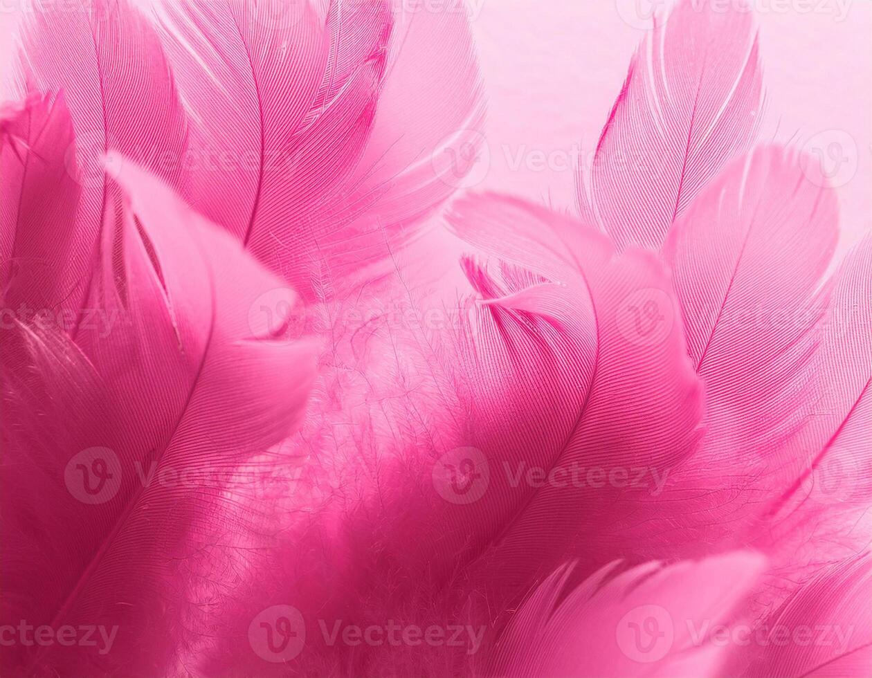 Pink feathers as abstract background photo