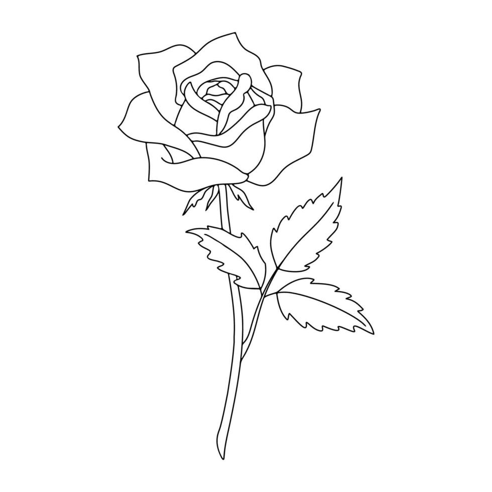 Linear Outline Illustration Of Rose Flower vector