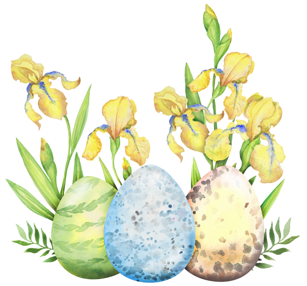 Easter eggs with irises and flowers png