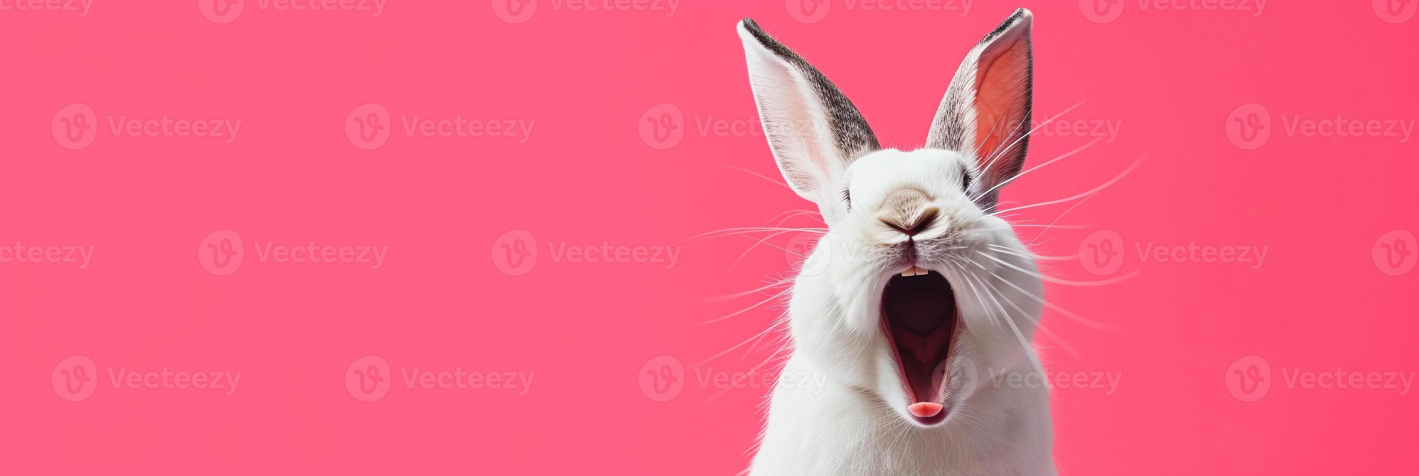 Joyful rabbit with long ears raised high and wide open mouth, appearing to cheer or laugh against a pink background, expressing humor, delight, or excitement. Easter concept. Banner with copy space. photo