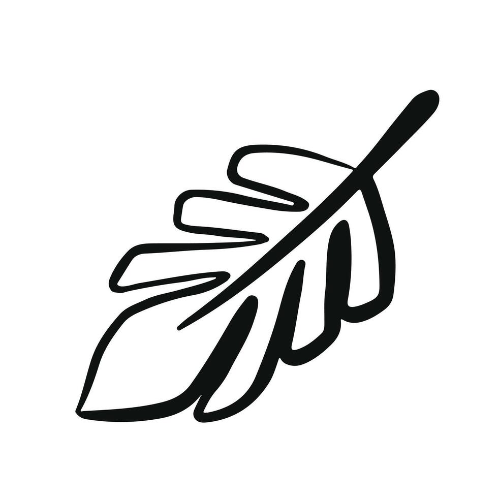 black and white line flower decorative hand drawn vector