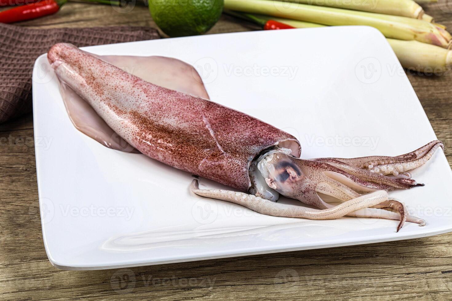 A squid on a plate with some vegetables photo