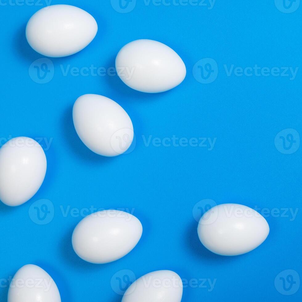 White eggs on blue background photo