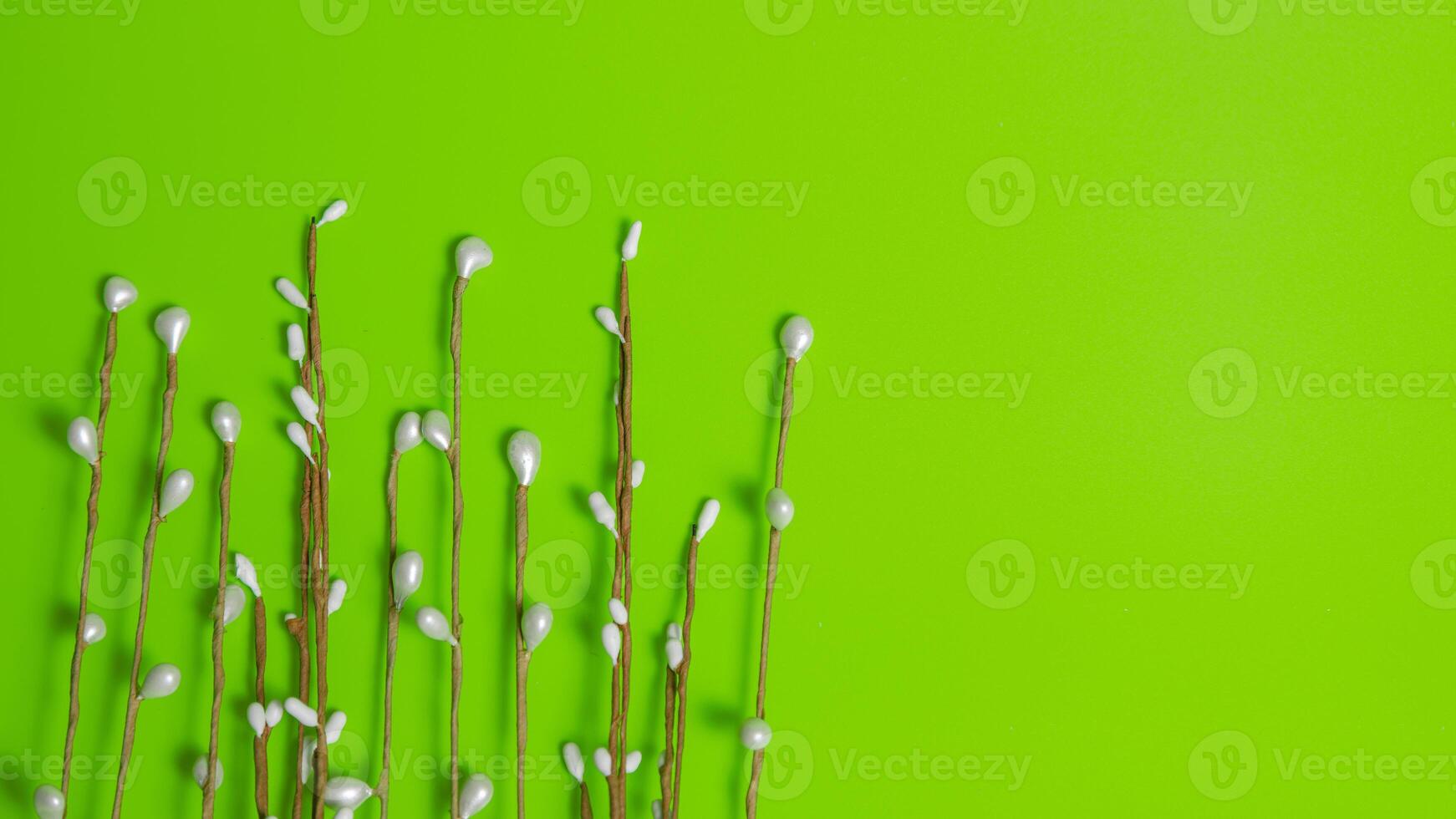 Thin elegant willow twigs on a vibrant green backdrop. Vertical twigs ideal for Easter cards, greetings, and Christian banners. photo