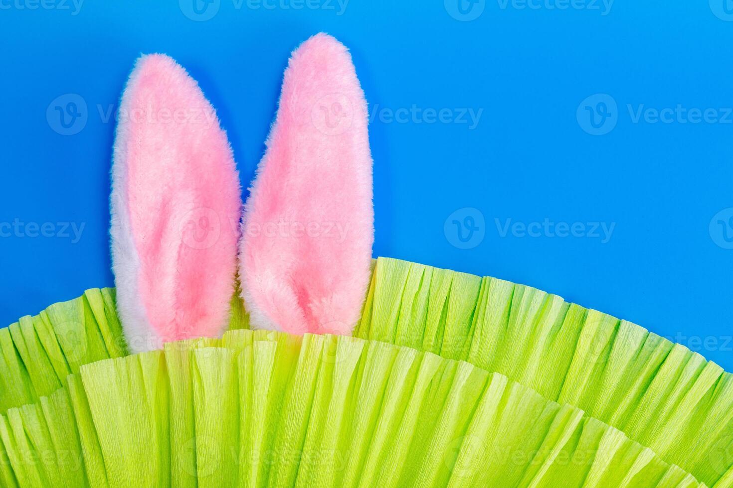 fluffy rabbit ears peeking out of green crepe paper on a blue background, top view, horizontal format photo
