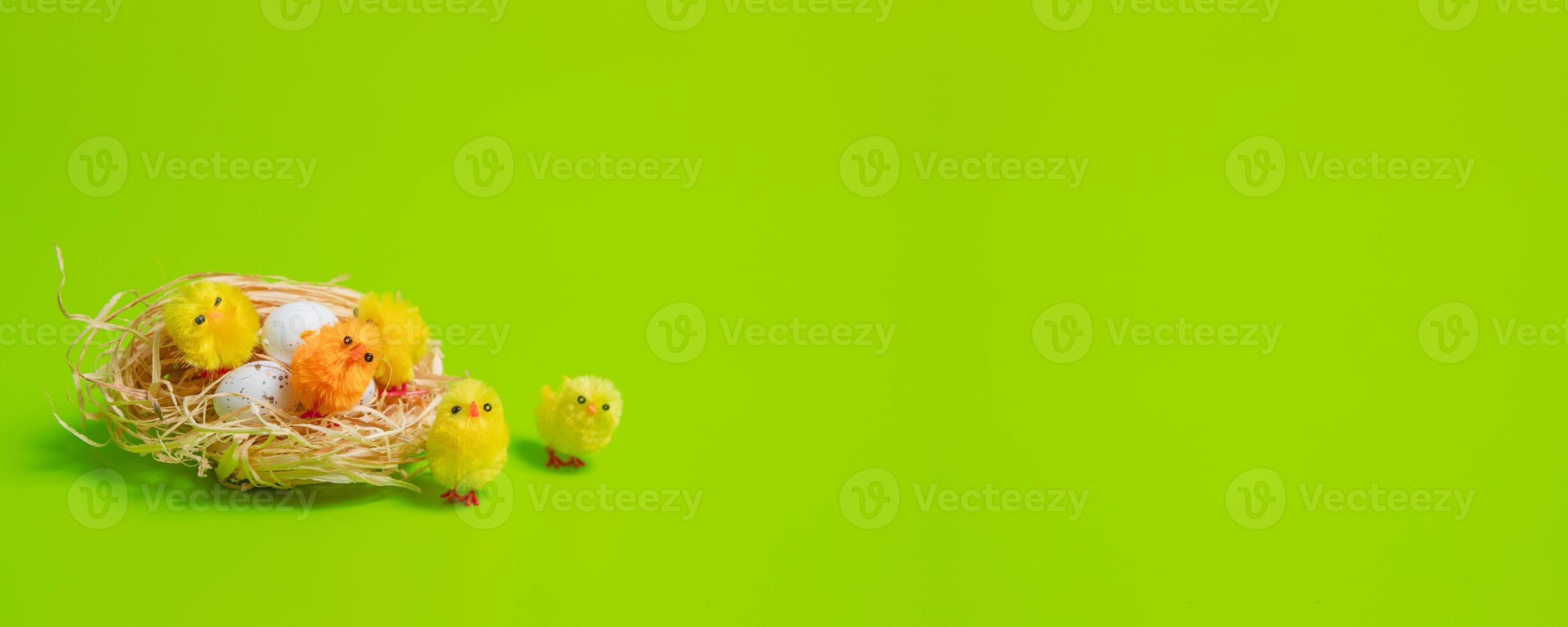 Easter eggs on green background photo