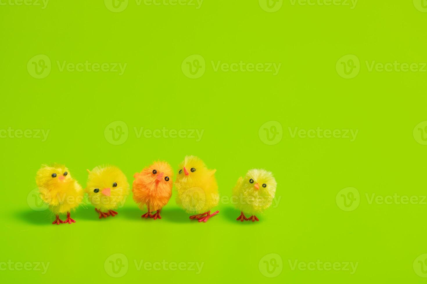 A group of small yellow chicks on a green background photo