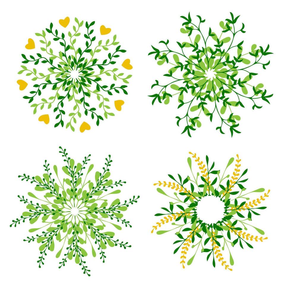 Floral illustrations showcasing intricate green leaf patterns and designs vector