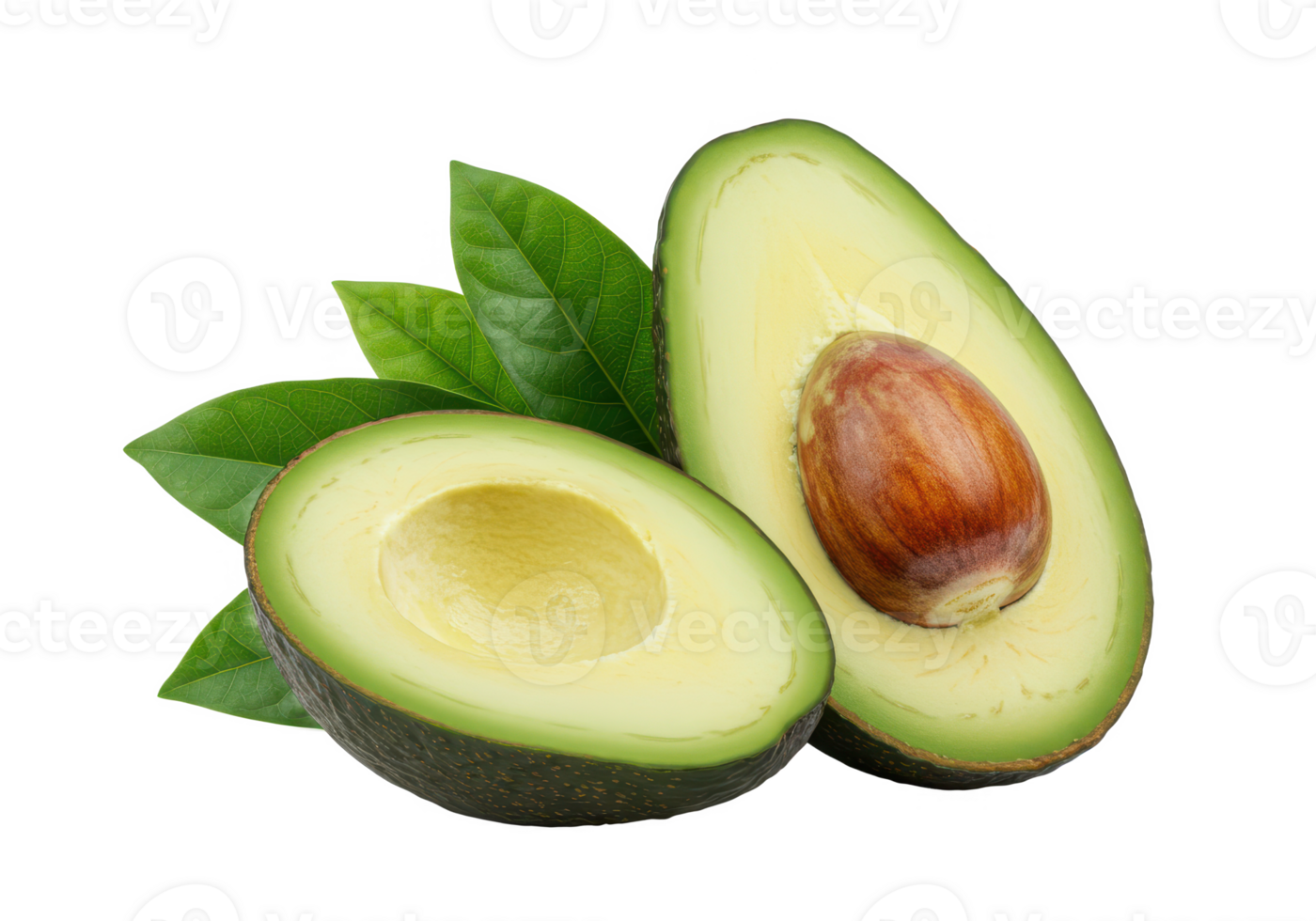 Fresh avocado with leaves and half avocado png