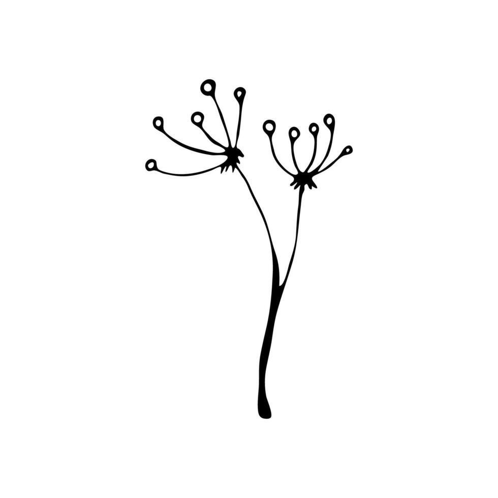 Plant branch on isolated white background in doodle style. vector