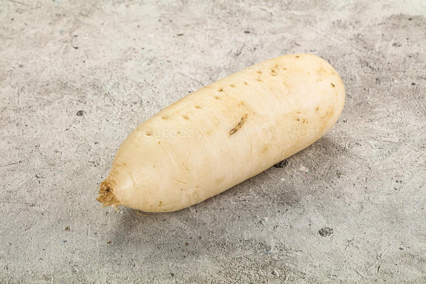 A white potato on a gray surface photo