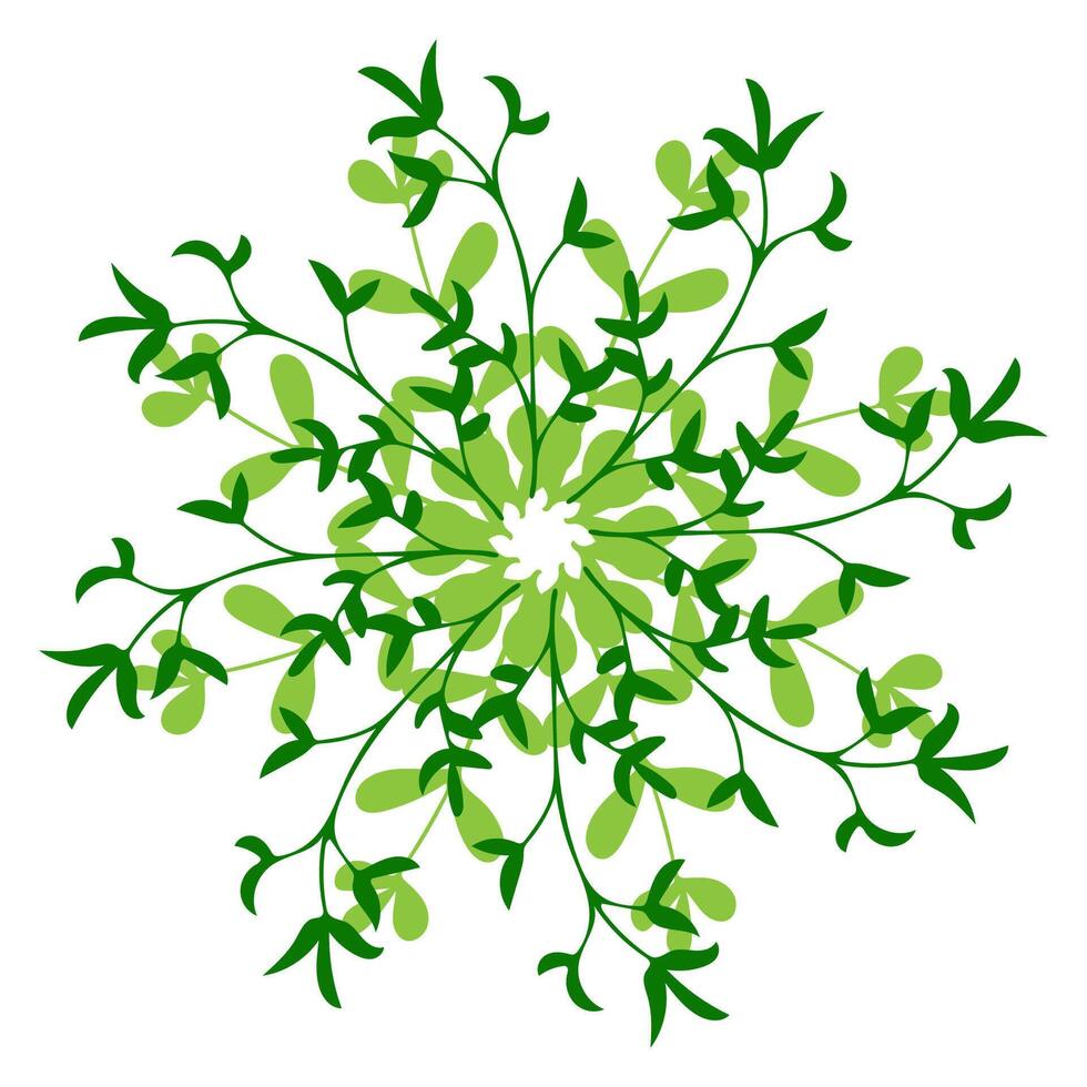 Intricate green floral design with leafy patterns radiating from a central point vector