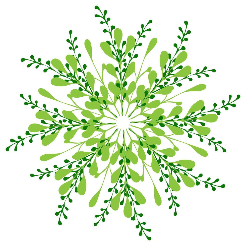Intricate green floral pattern showcasing delicate leaves in circular arrangement vector