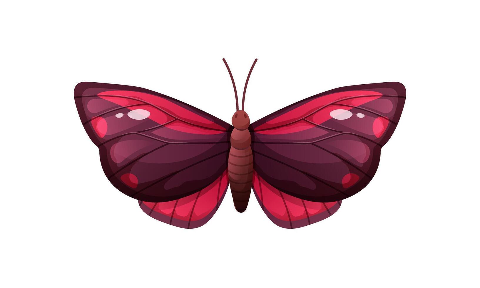 Black moth on white background. Colorful winged insect. cartoon illustration vector