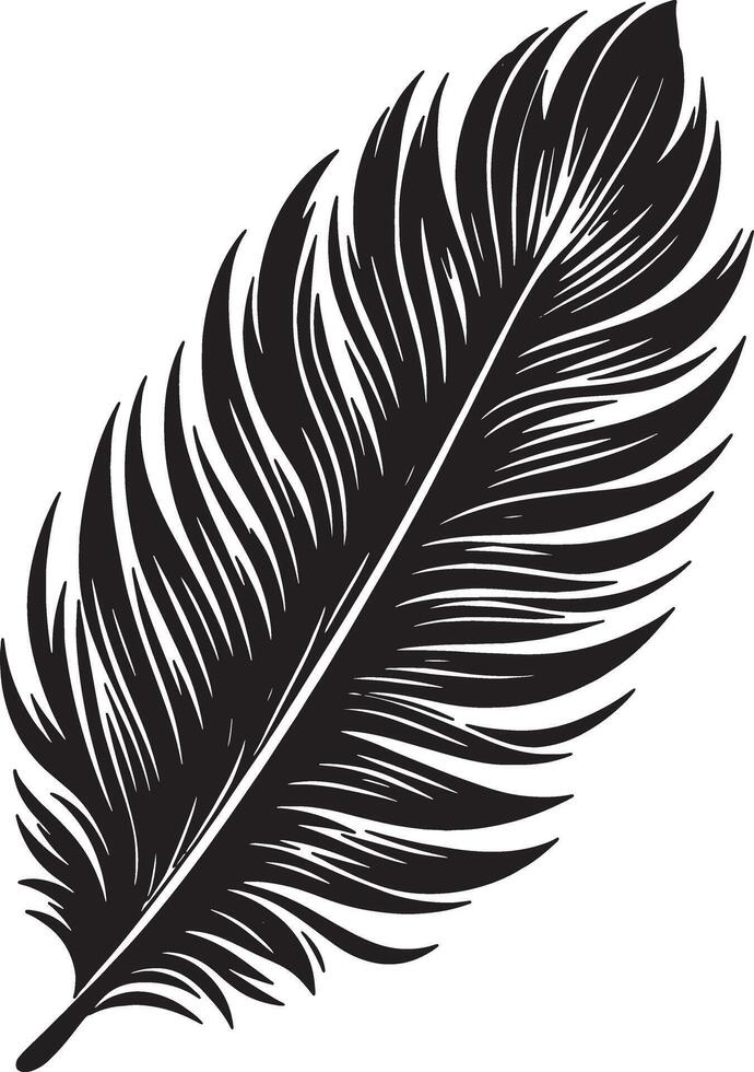 Black Feather Shaped Leaves Silhouette on a White vector